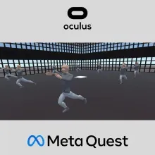 Virtual Reality Tai Chi Oculus Quest