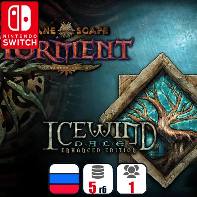 Planescape: Torment And Icewind Dale | Nintendo Switch 1/2 - irongamers.ru