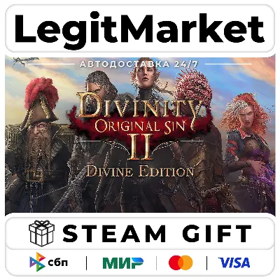Divinity: Original Sin 2 Divine Edition / Steam АВТО РУ+МИР - irongamers.ru