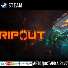 RIPOUT СТИМ Steam Gift