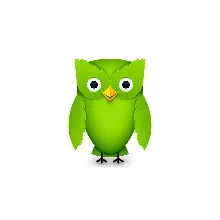 Приглашение на DUOLINGO SUPER/MAX на один год
