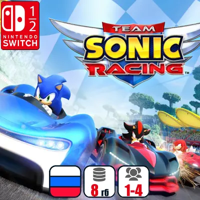 Team Sonic Racing | Nintendo Switch 1/2 - irongamers.ru