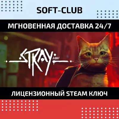 STRAY / STEAM КЛЮЧ / РФ+СНГ - irongamers.ru