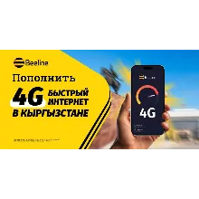 Beeline Kyrgyzstan Online Top-up🔥🔥KGS