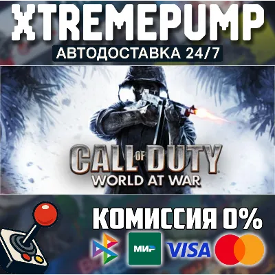 Call of Duty: World at War STEAM АВТО 24/7