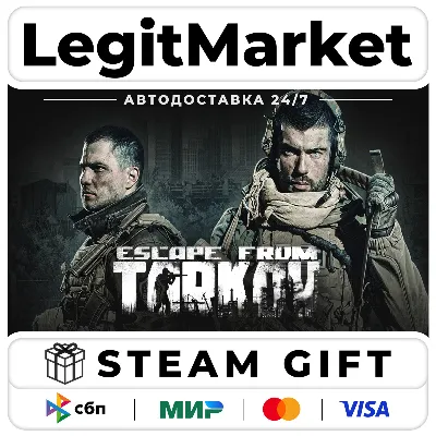 Escape from Tarkov / Steam AUTO / РУ+МИР - irongamers.ru