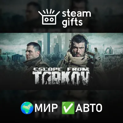 Escape from Tarkov - Standard Edition МИР АВТО - irongamers.ru