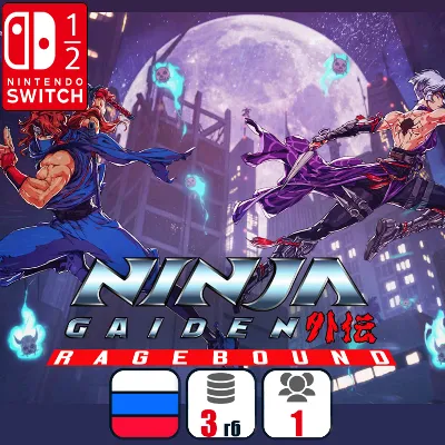 NINJA GAIDEN: Ragebound | Nintendo Switch 1/2 - irongamers.ru