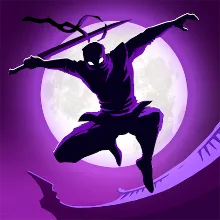 Shadow Knight: Premium Google plag