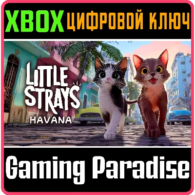 LITTLE STRAYS - HAVANA XBOX КЛЮЧ/КОД - irongamers.ru