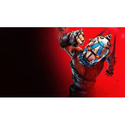 Автовыдача • Borderlands 4 • [ONLINE STEAM] • Почта - irongamers.ru