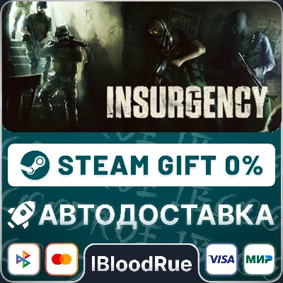 Insurgency •РУ +МИР / STEAM АВТО, 0% - irongamers.ru