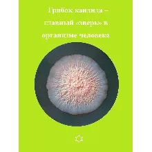 Грибок кандида – главный «зверь» в организме человека