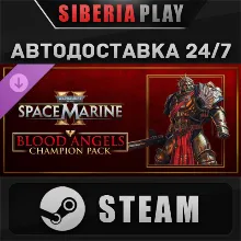 Warhammer 40,000: Space Marine 2 Blood Angels Champion