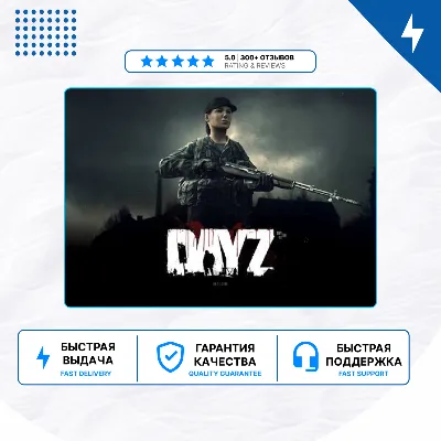 🎮 DayZ ✨ PS4 PS5 | П2/П3 - irongamers.ru