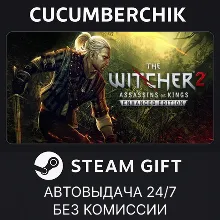 The Witcher 2 (RU) STEAM GIFT AUTO UA+МИР