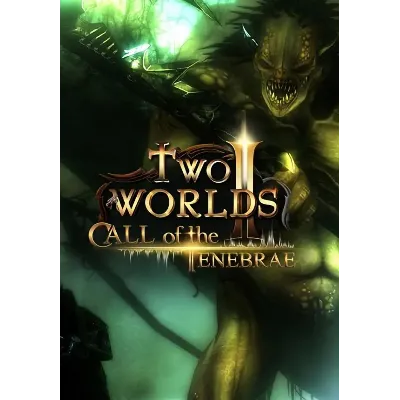 Two Worlds II HD Call of the Tenebrae (steam key) - irongamers.ru