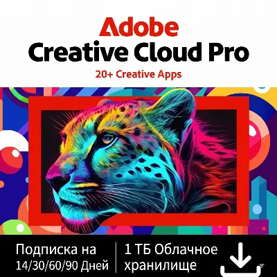СРАЗУ ADOBE CREATIVE CLOUD PRO 1 МЕСЯЦЕВ НА ВАШ ПРОФИЛЬ - irongamers.ru