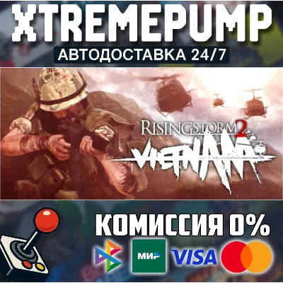 Rising Storm 2: Vietnam STEAM АВТО 24/7 - irongamers.ru