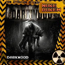 РФ+СНГ | Darkwood | STEAM КЛЮЧ
