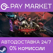 Divinity Original Sin - The Source Saga |Steam АВТО RU