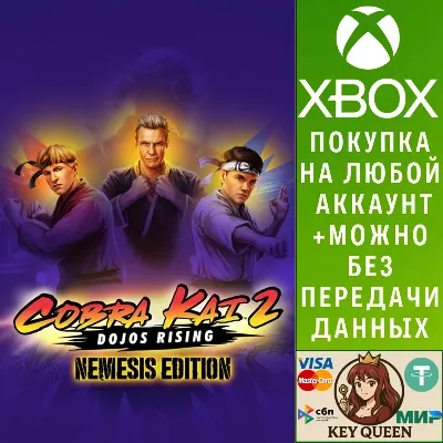 Cobra Kai 2: Dojos Rising - Nemesis Edition Xbox - irongamers.ru