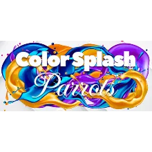 Color Splash: Parrots (STEAM KEY/REGION FREE)