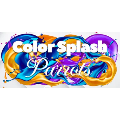 Color Splash: Parrots (STEAM KEY/REGION FREE) - irongamers.ru