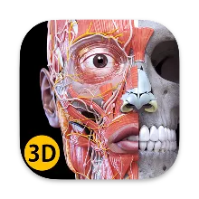 Anatomy 3D Atlas Полная версия Microsoft Store Windows