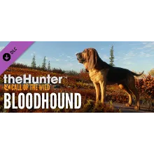 theHunter: Call of the Wild - Bloodhound | Steam АВТО