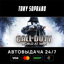 Call of Duty: World at War Выбор Стран Авто-Доставка 24