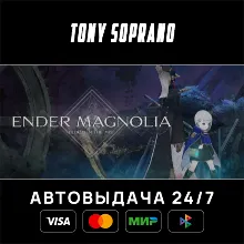 ENDER MAGNOLIA: Bloom in the Mist Выбор Стран Авто-Дост