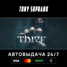 Thief: Master Thief Edition Выбор Стран Авто-Доставка 2