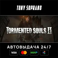 Tormented Souls 2