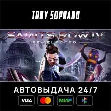 Saints Row IV: Re-Elected (RU/CIS)