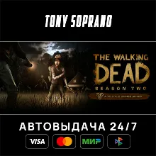 The Walking Dead Season 2 STEAM GIFT