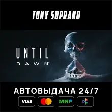Until Dawn™ STEAM GIFT