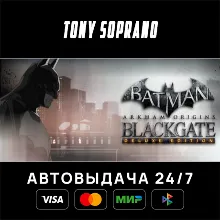 Batman: Arkham Origins Blackgate - Deluxe Edition STEAM