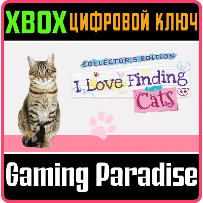 I LOVE FINDING CATS COLLECTOR'S EDITION XBOX КЛЮЧ/КОД - irongamers.ru