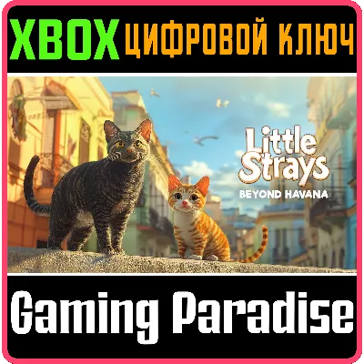 LITTLE STRAYS - BEYOND HAVANA XBOX КЛЮЧ/КОД - irongamers.ru