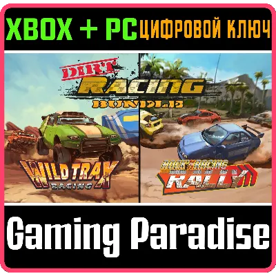 RALLY ROCK &acute;N RACING XBOX ONE|X/S+ PC WIN KEY - irongamers.ru