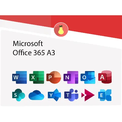 Office 365 Pro Plus 1 Device 1 Year - irongamers.ru