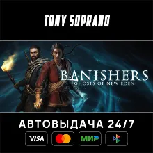 Banishers: Ghosts of New Eden STEAM GIFT