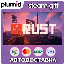 Rust - Instruments Pack DLC STEAM AUTO 0% - irongamers.ru