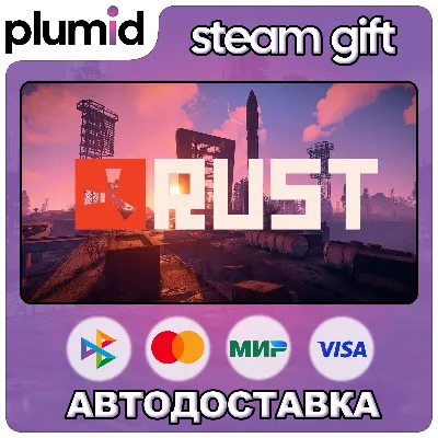 Rust Steam Gift / Россия + МИР / АВТО - irongamers.ru