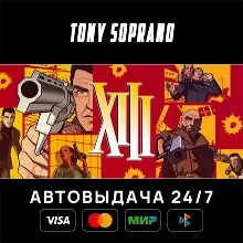 XIII - Classic STEAM GIFT