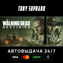The Walking Dead: Destinies STEAM GIFT
