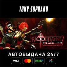 BloodRayne: Terminal Cut STEAM GIFT