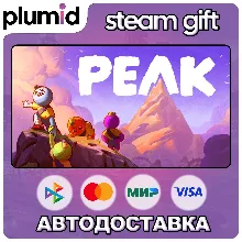 PEAK Steam Gift / Россия + МИР / АВТО