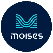 Moises Premium | 1–12 Month Subscription for Your Account